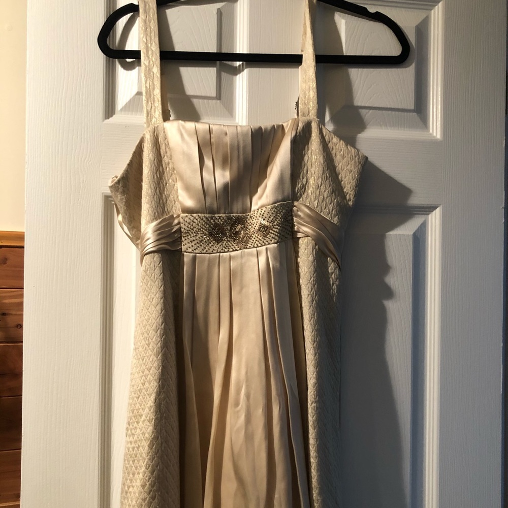 BCBG CHAMPAGNE MIDI DRESS